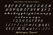 Roseira - Handwritten Brush Font, a Handwritten Font by roomspace creative lab (Thumbnail 10 of 10)