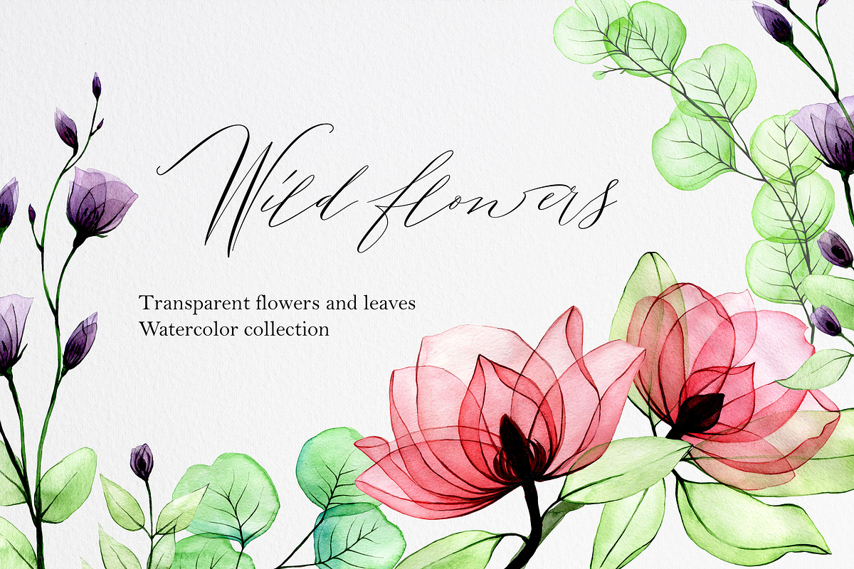 Wild roses. Watercolor flowers., a Decorative Illustration by made by Tanya (Photo 1 of 7)