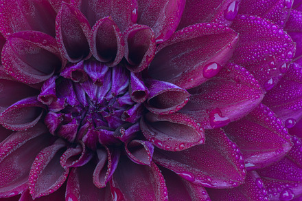 Kaleidoscope Of Fall Colors preview 5