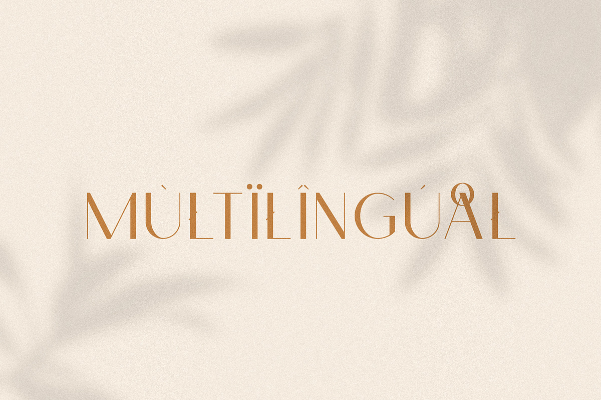 Monica - Classic & Elegant Sans, a Sans Serif Font by Mikhail Fukurou (Photo 12 of 12)