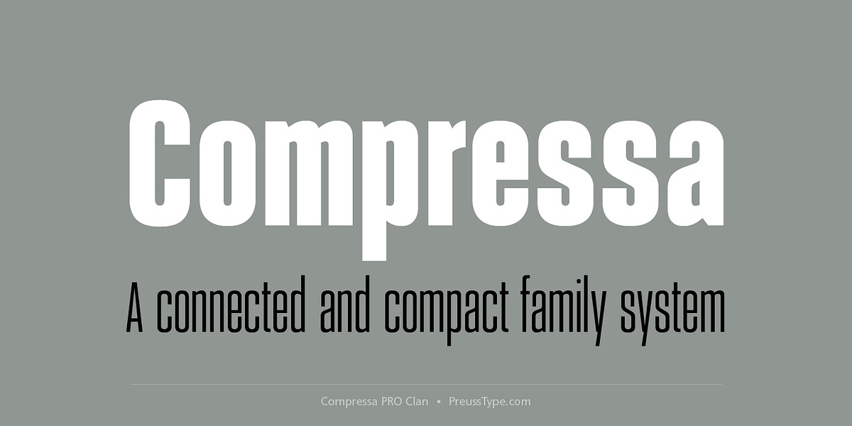 Compressa PRO, a Sans Serif Font by preussTYPE (Photo 5 of 9)
