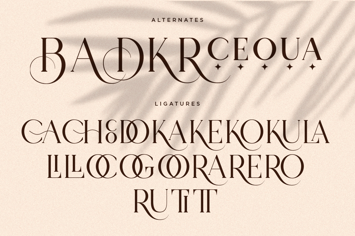 Koela | Modern Serif Font, a Serif Font by Pentagonistudio (Photo 9 of 10)