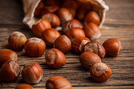 Tasty Hazelnuts preview 6