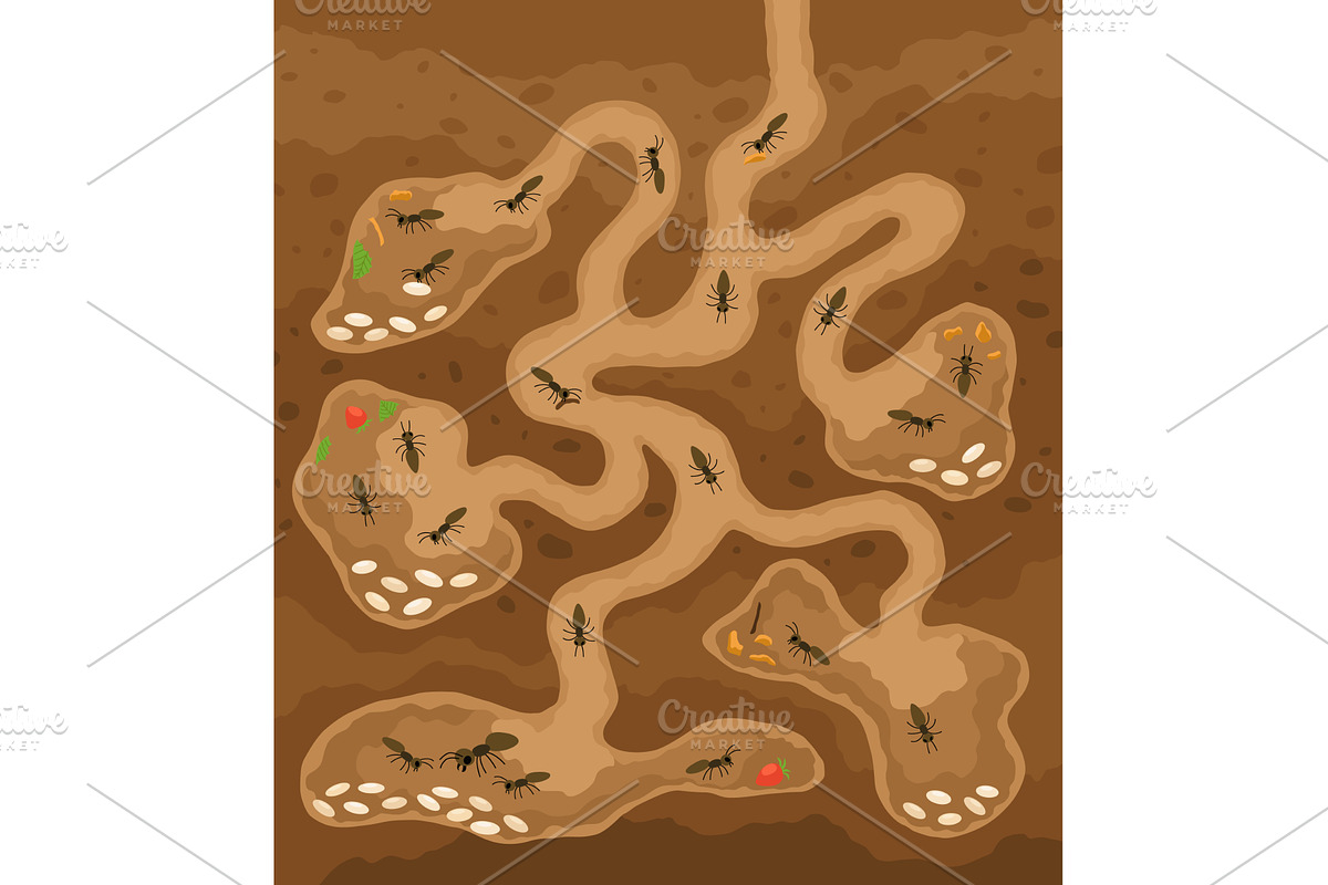 An anthill. Ants in burrows, an Animal Illustration by Things for designers