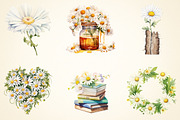 Spring Daisy Flower Clipart Bundle, a Work Illustration by OK Design (Thumbnail 3 of 3)