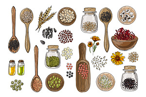 Vector food icons. Spices, nuts