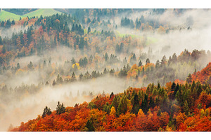 Misty autumn mountain landscape at