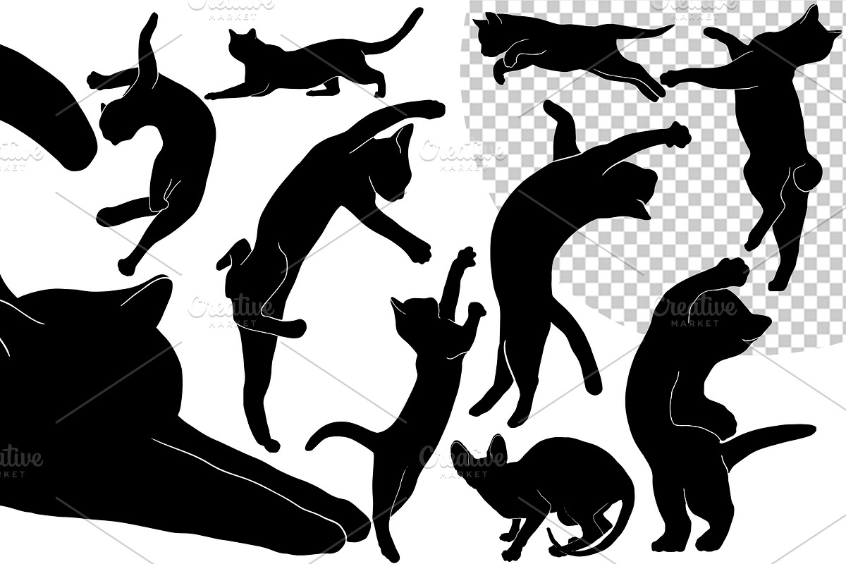 Hand drawn cats vector illustrations, an Animal Illustration by AnastasiyaOleynik (Photo 2 of 2)
