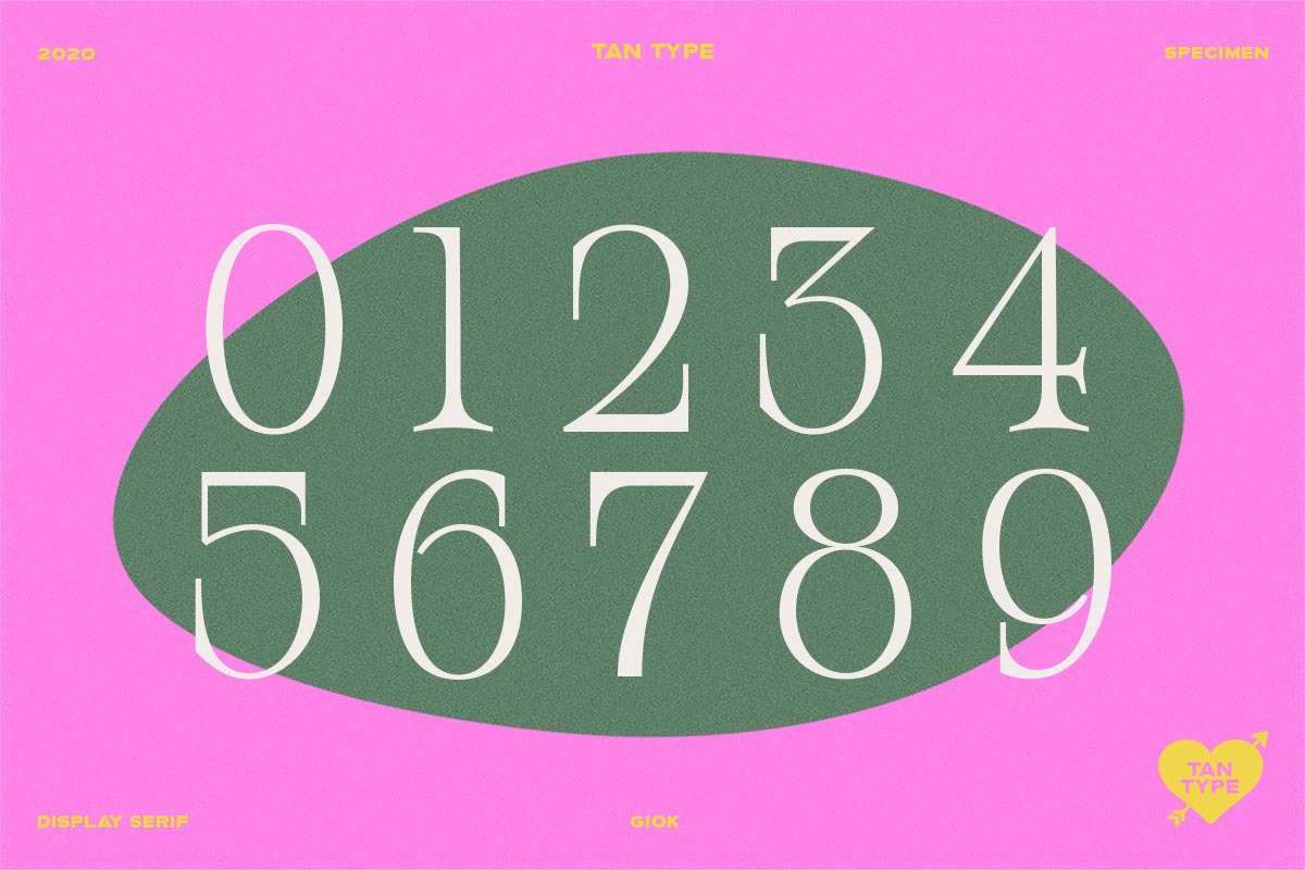 TAN - GIOK, a Serif Font by TanType (Photo 6 of 25)