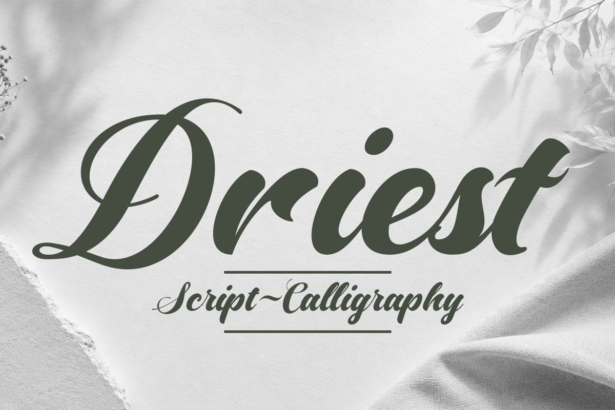 Driest, a Script Font by artisans (Photo 1 of 6)