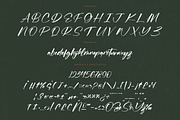 Flusteria Routine Modern Brush Font, a Script Font by stylishtype.co (Thumbnail 18 of 20)