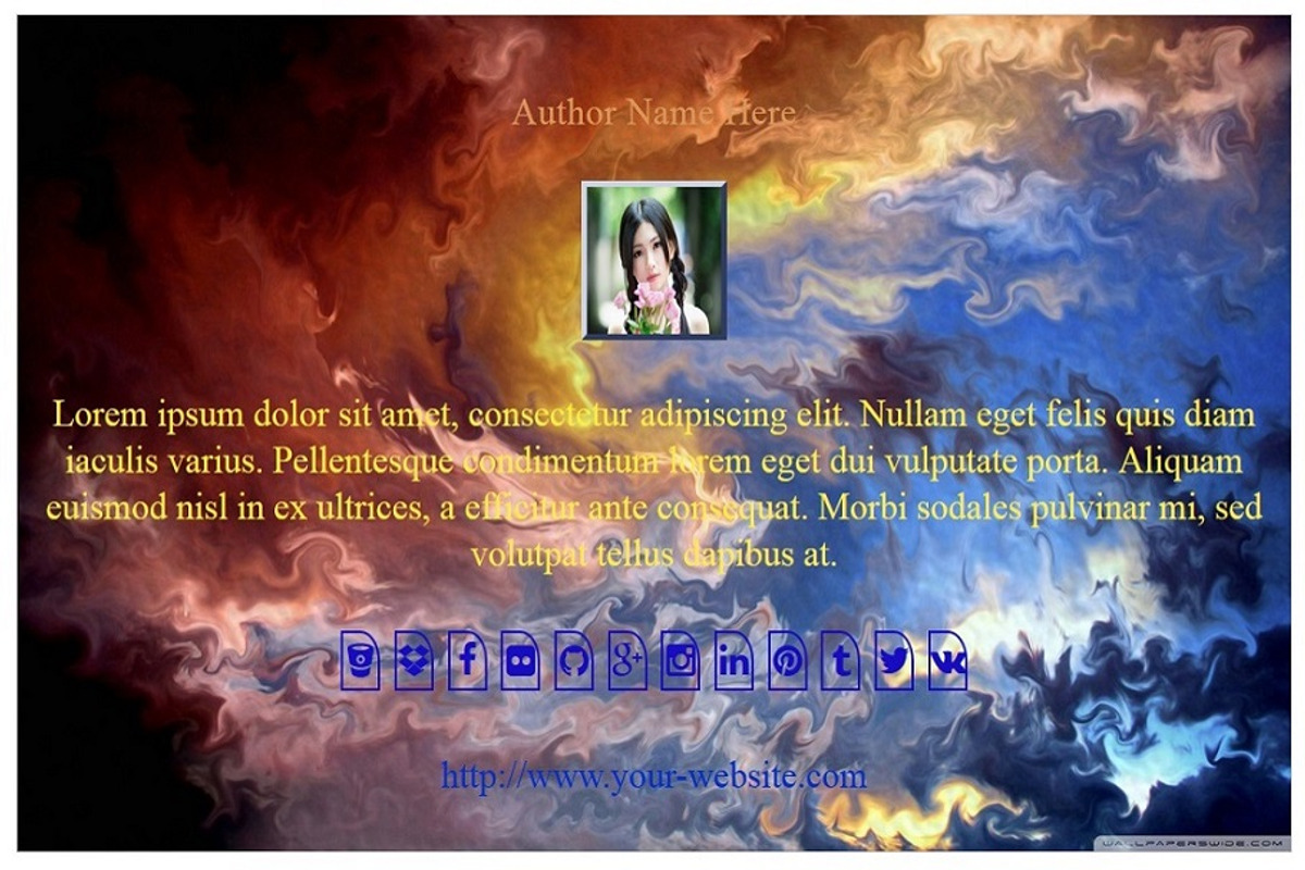 About Author Pro WordPress Plugin, a Plug-in Add-On by Weblizar Themes & Plugin (Photo 5 of 5)