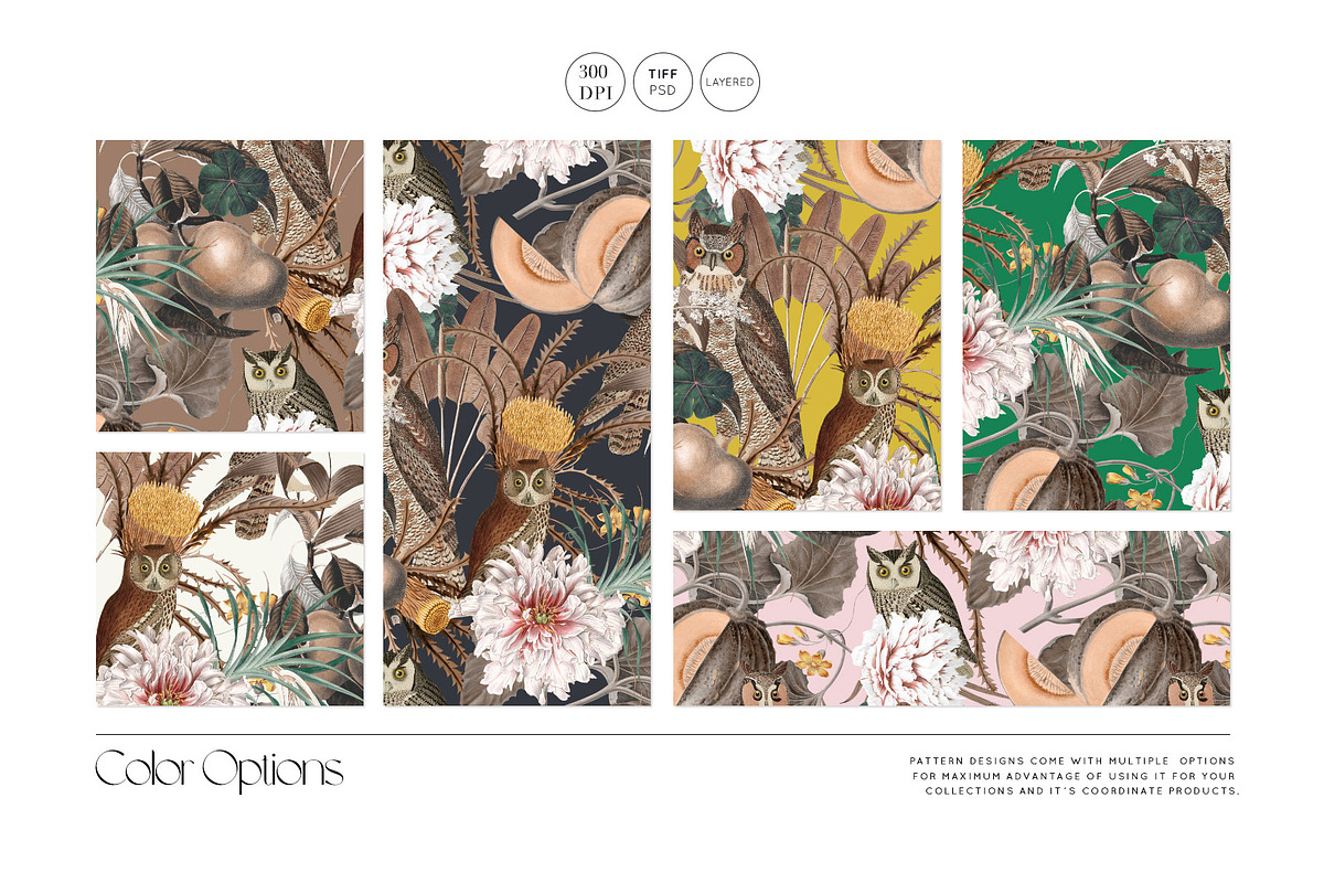 Autumn Owl Botanical Pattern & Motif, a Pattern Graphic by Pink Linen (Photo 5 of 12)
