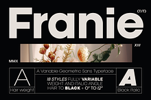 Franie Geometric Sans Family