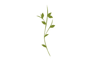 Green plant stem with leaves on, an Object Illustration by okskukuruza