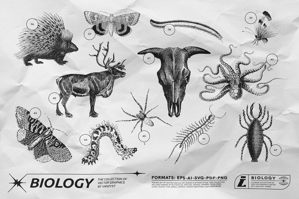 125 Vector Bitmap Assets. Biology, a Graphic by Vanzyst (Photo 5 of 16)