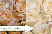 Instant Canvases, a Texture Graphic by Cindy Garber Iverson (Thumbnail 3 of 4)