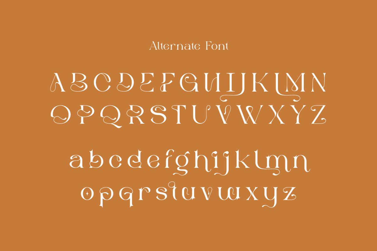 Molgife - Fashion Brand Font, a Serif Font by Iqsiart Studio (Photo 13 of 15)