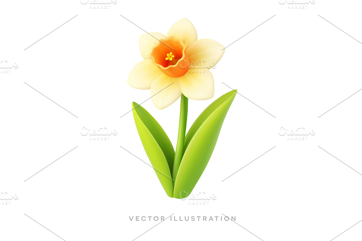 Yellow daffodil flower 3D realistic, an Object Illustration by GraphiShop