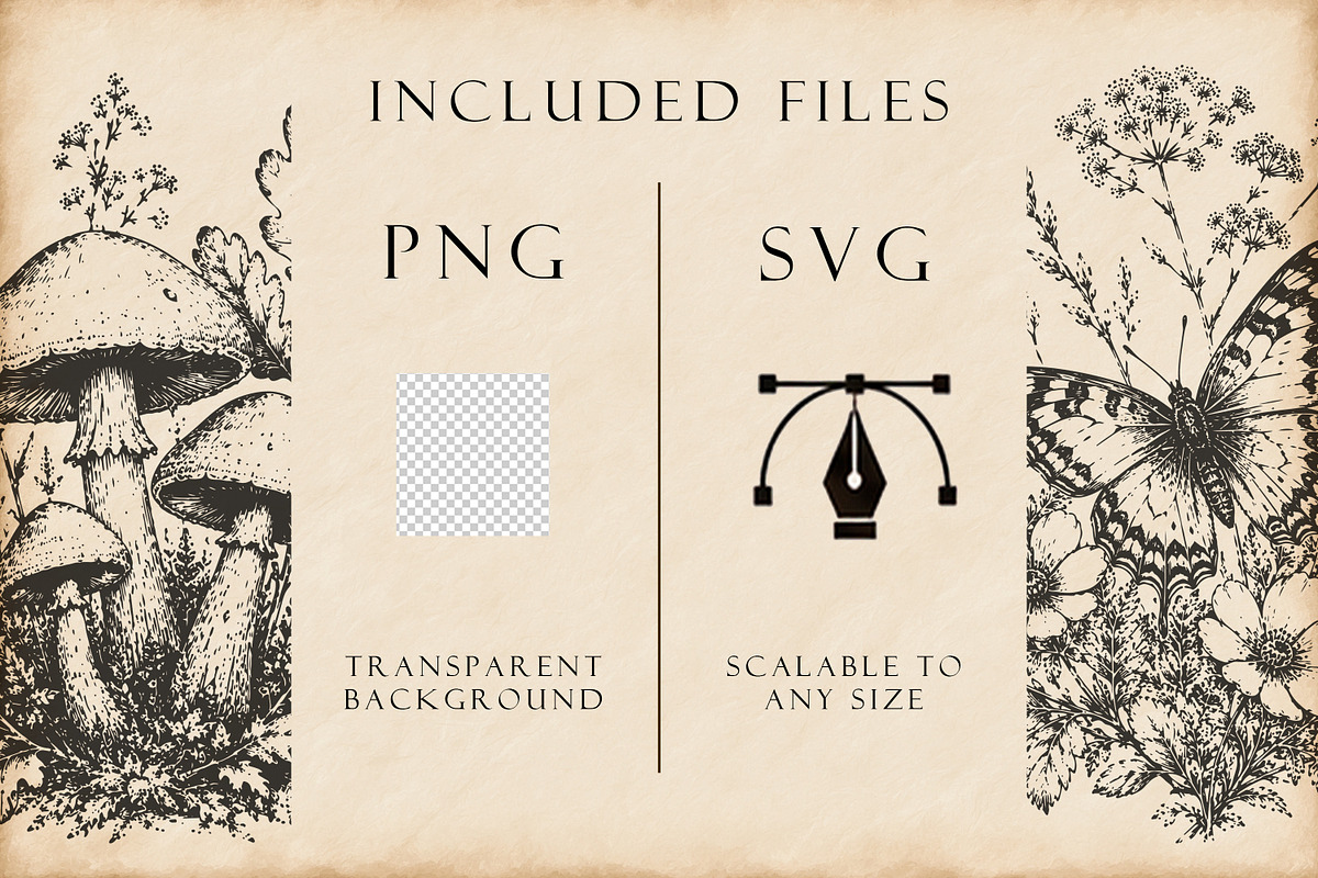 Woodland Ink Illustration Bundle, a Decorative Illustration by Dervik Art Store (Photo 10 of 10)