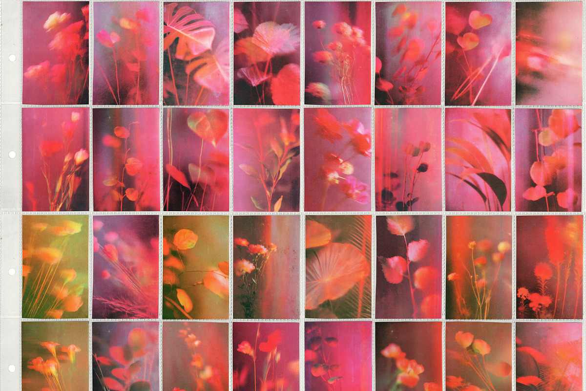 Cinematic Blur - Floral Backgrounds, a Background Graphic by lerinartstudio (Photo 11 of 12)