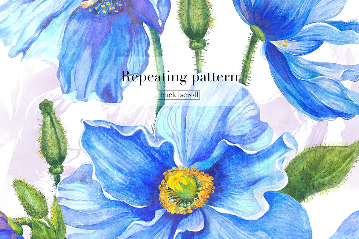 Meconopsis flowers Seamless Pattern, a Pattern Graphic by Yana Dobrik (Photo 2 of 11)