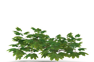 Maple Branch Grean V3