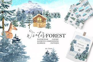 Winter Forest