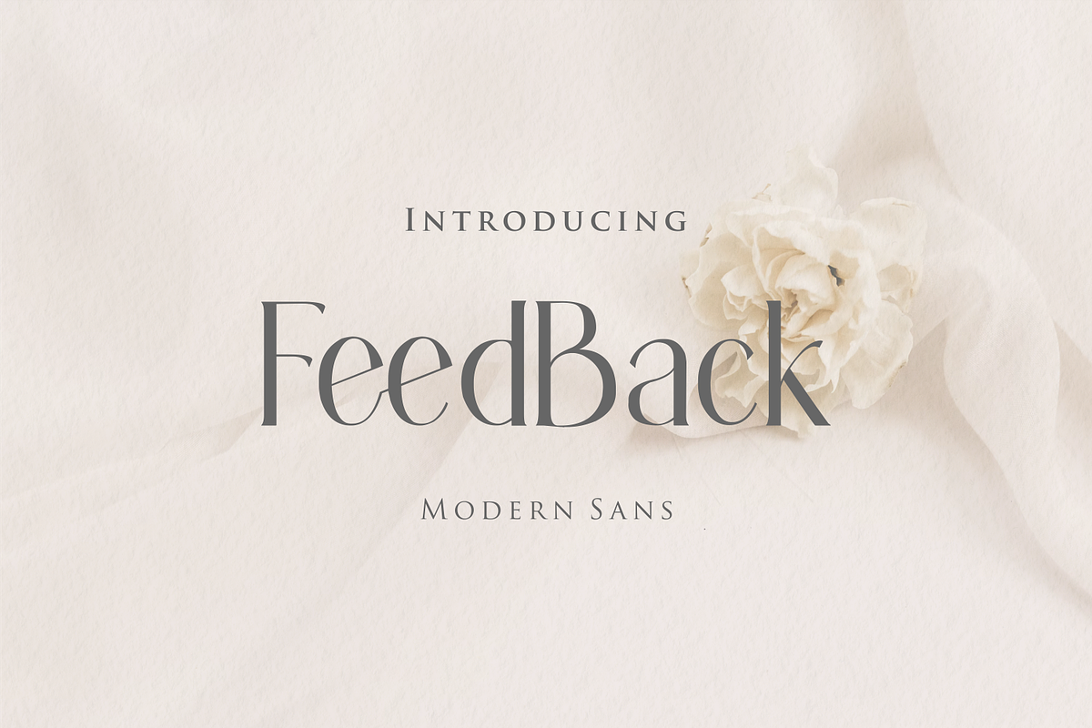 FeedBack Modern Sans, a Sans Serif Font by zamjumps (Photo 1 of 11)