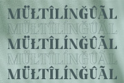 Horst More Retro Soft Serif, a Serif Font by AuthenType (Thumbnail 10 of 10)
