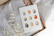 Watercolor chicken clipart, an Object Graphic by MyLittleMeow (Thumbnail 4 of 18)