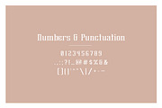 Brylan Typeface, a Serif Font by ANDR35 (Thumbnail 5 of 8)