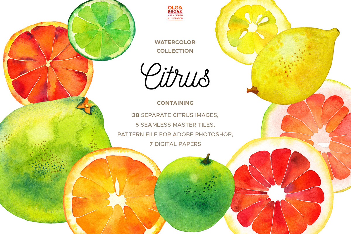 Watercolor Citrus Clipart Collection, a Food Illustration by Olga Begak Art & Design (Photo 1 of 10)