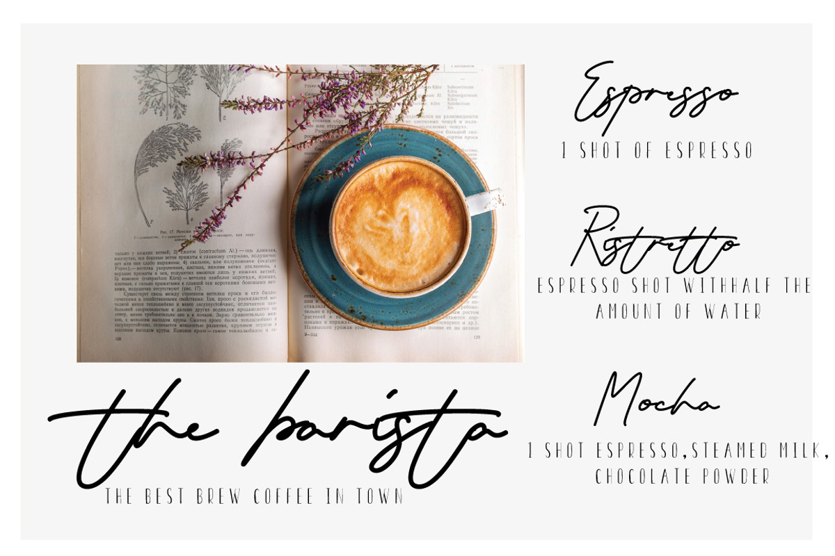Seraphina Script (Bold&Regular) preview 4