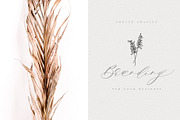 Giselle Script, a Script Font by Calamar Studio (Thumbnail 14 of 19)