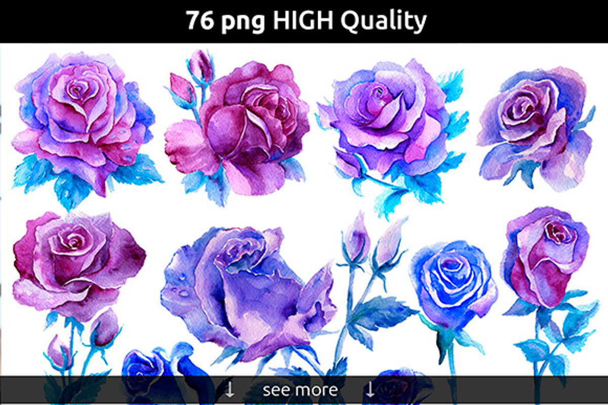 Blue Roses Watercolor Set, an Illustration by denisespinoza (Photo 2 of 5)