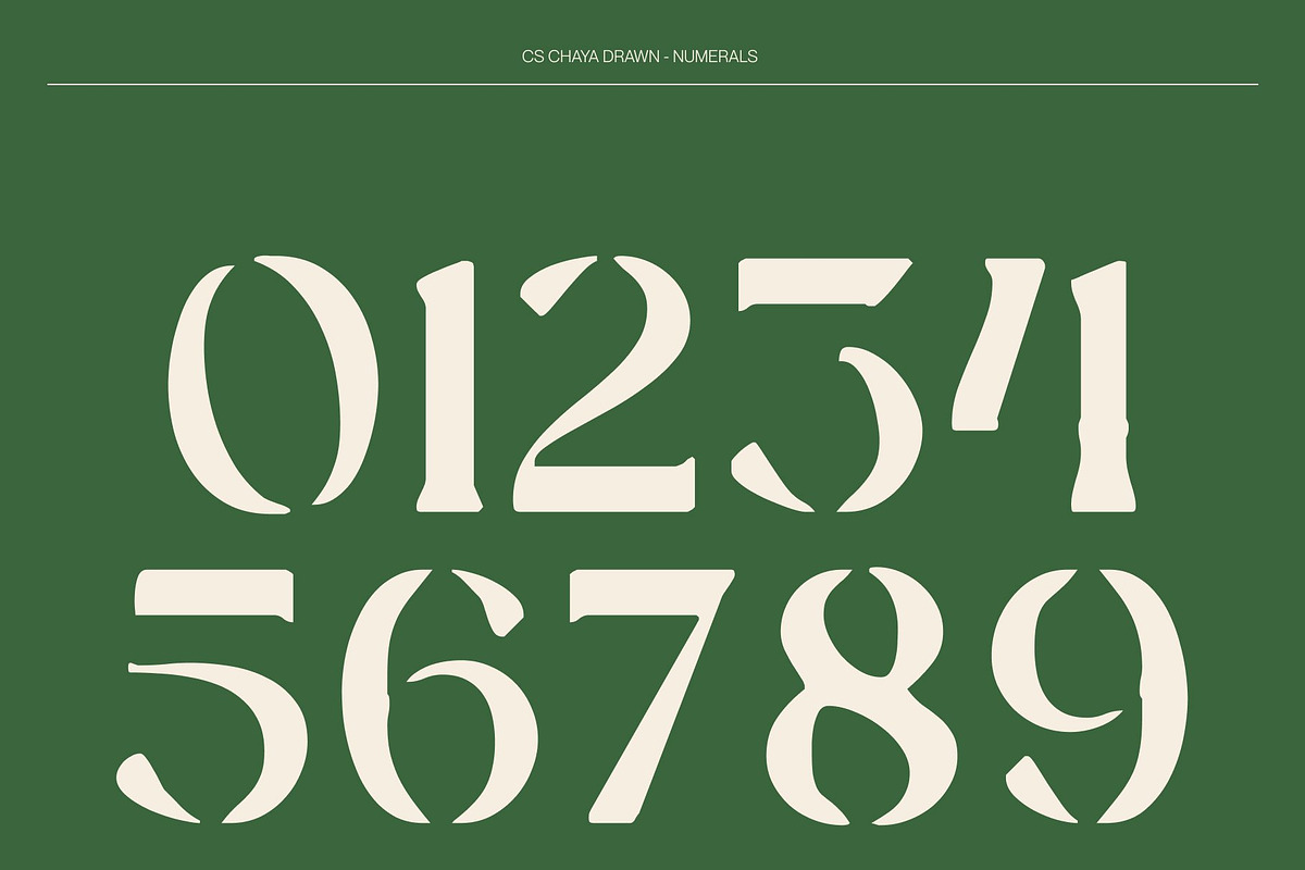 CS Chaya Drawn, a Serif Font by Craft Supply Co. (Photo 6 of 8)