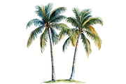 Watercolor Tropical Palm Trees, an Illustration by Designworld (Thumbnail 5 of 6)