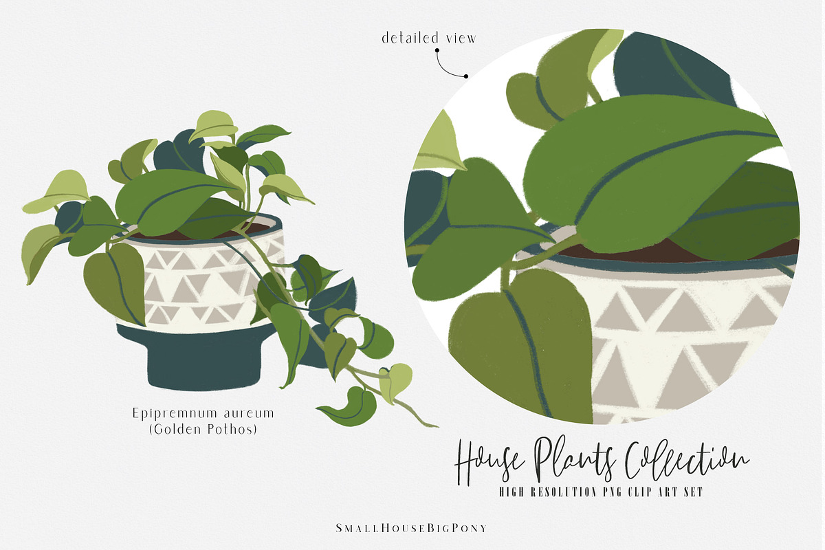 House Plants Collection, a Graphic by SmallHouseBigPony (Photo 8 of 18)