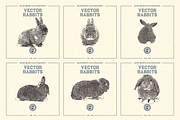 VECTOR RABBITS HAND DRAWN BUNDLE v18, an Animal Illustration by pawellpi (Thumbnail 5 of 7)