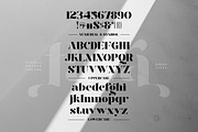 Faya | Stencil Modern Ligature, a Serif Font by ClevUs (Thumbnail 10 of 11)