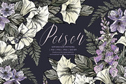 POISON | Watercolor HALLOWEEN set, a Decorative Illustration by Tanya Vollar (Thumbnail 1 of 16)
