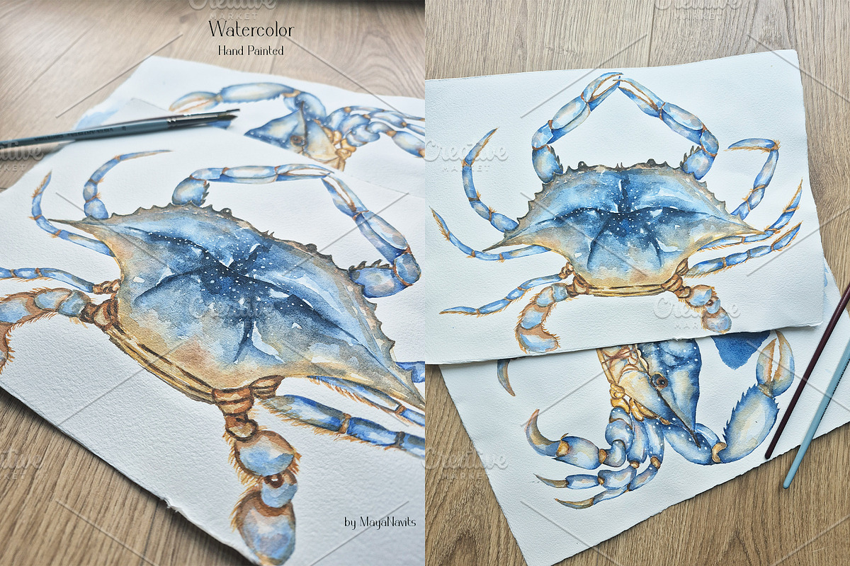 Watercolor Blue Crab Life Cycle Set, an Education Illustration by MayaNavits (Photo 7 of 8)