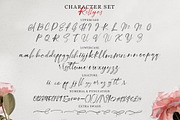 Rellycs OpenType SVG, a Script Font by Typenations (Thumbnail 9 of 10)