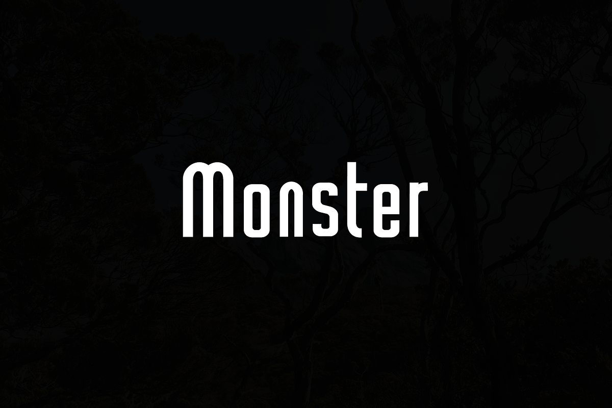 Borneo Pro - Modern Sans Serif, a Sans Serif Font by portype (Photo 5 of 5)