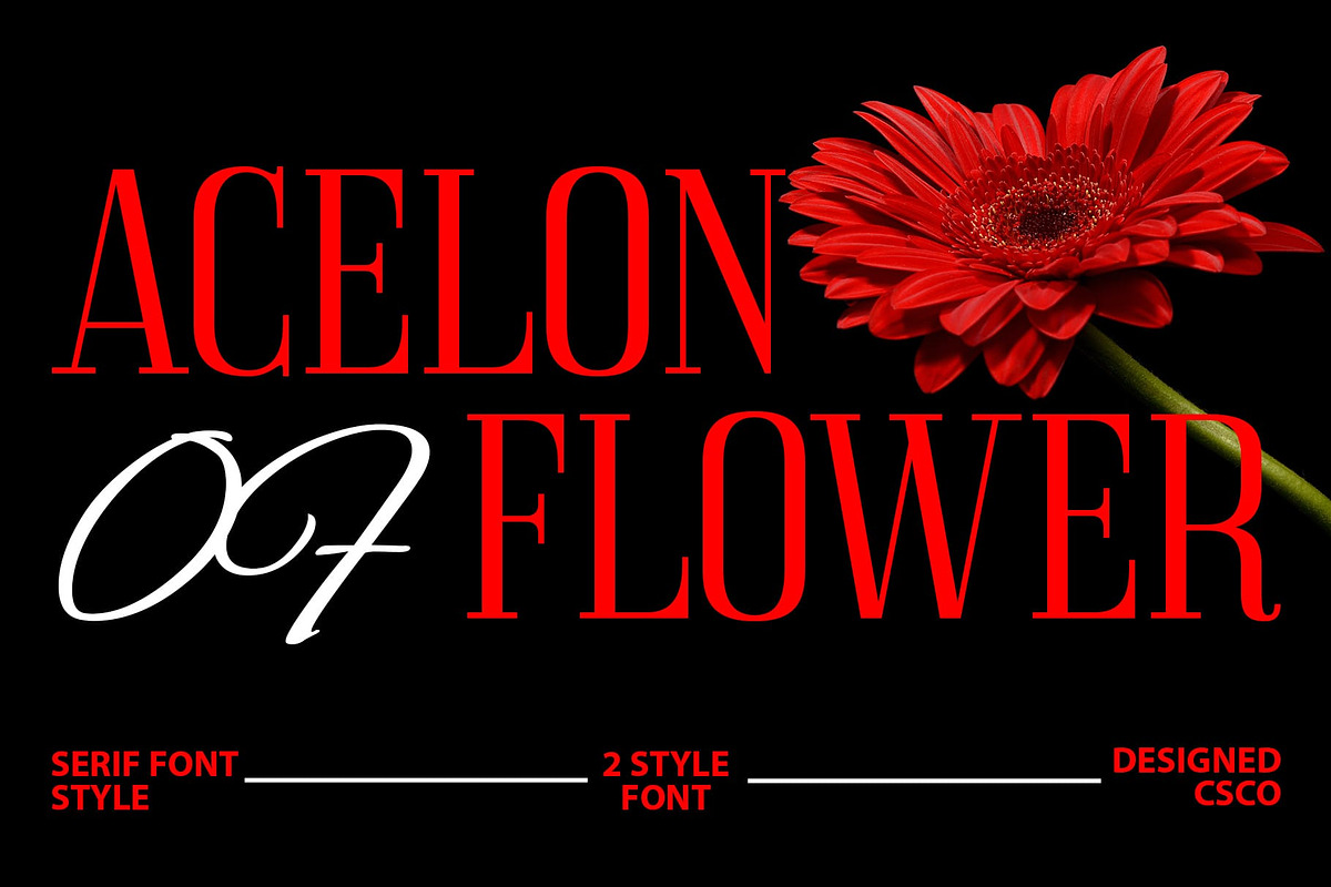 Acelon – Condensed Serif, a Sans Serif Font by Craft Supply Co. (Photo 1 of 8)