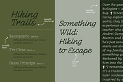 Radcliffe Hand - 7 fonts, a Serif Font by Zetafonts (Thumbnail 10 of 14)