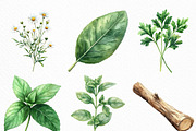 Watercolor Herbal Clipart Bundle, an Illustration by Craft Nest (Thumbnail 2 of 6)
