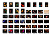 Heart Bokeh JPG photoshop overlays, a Plug-in Add-On by ZephyrDigital (Thumbnail 2 of 2)