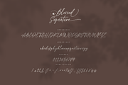 Blessed Signature Font, a Script Font by Pen Culture (Thumbnail 10 of 11)